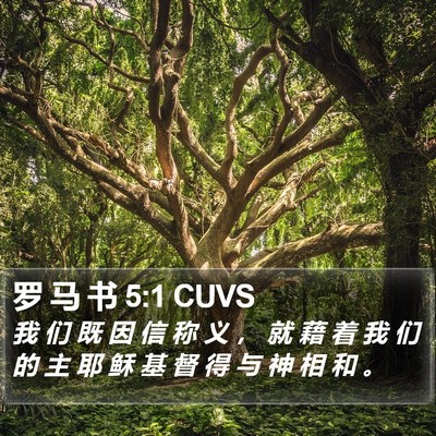 罗 马 书 5:1 CUVS Bible Verse Image