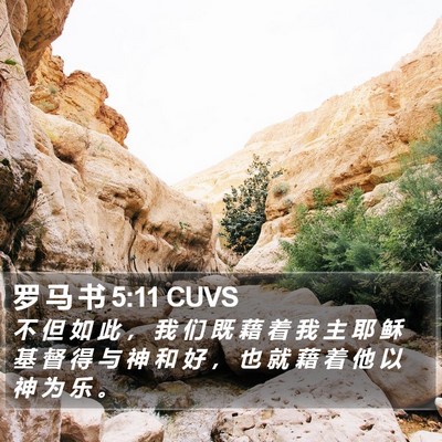 罗 马 书 5:11 CUVS Bible Verse Image