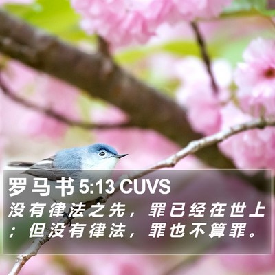 罗 马 书 5:13 CUVS Bible Verse Image