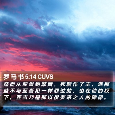 罗 马 书 5:14 CUVS Bible Verse Image