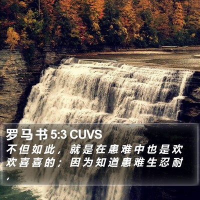 罗 马 书 5:3 CUVS Bible Verse Image
