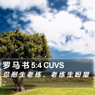 罗 马 书 5:4 CUVS Bible Verse Image