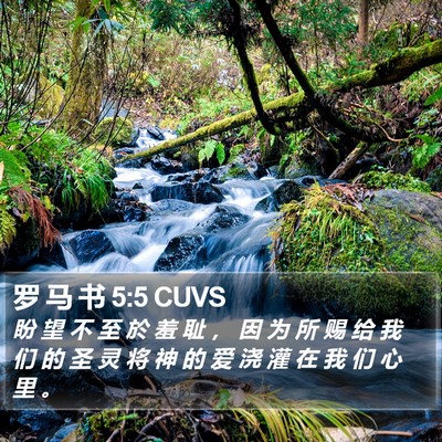 罗 马 书 5:5 CUVS Bible Verse Image