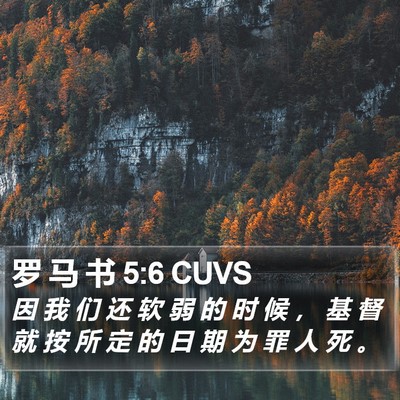 罗 马 书 5:6 CUVS Bible Verse Image