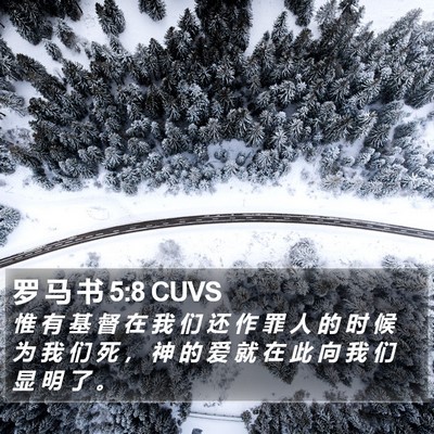 罗 马 书 5:8 CUVS Bible Verse Image