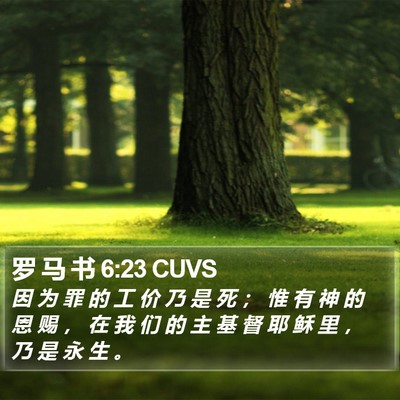 罗 马 书 6:23 CUVS Bible Verse Image