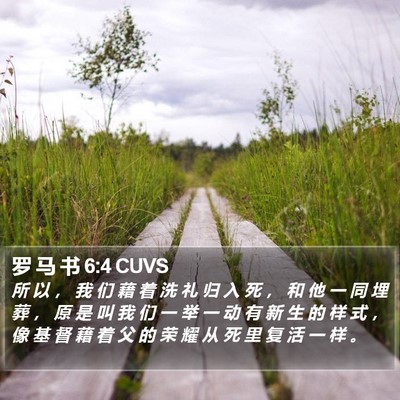 罗 马 书 6:4 CUVS Bible Verse Image