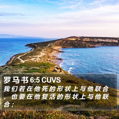 罗 马 书 6:5 CUVS Bible Verse Image