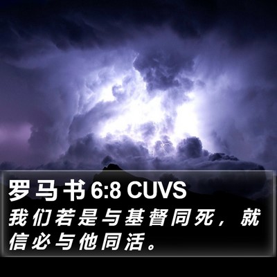 罗 马 书 6:8 CUVS Bible Verse Image