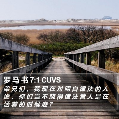 罗 马 书 7:1 CUVS Bible Verse Image