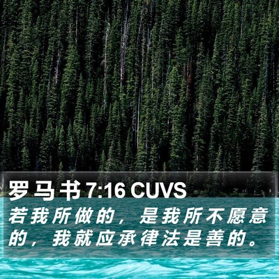罗 马 书 7:16 CUVS Bible Verse Image