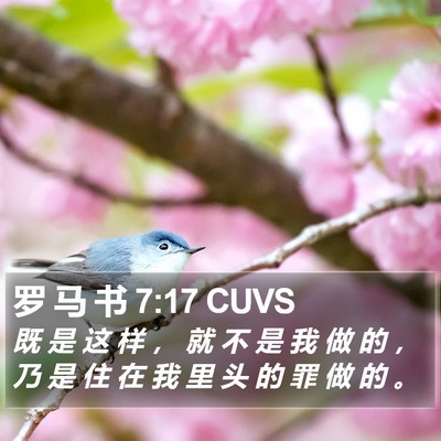 罗 马 书 7:17 CUVS Bible Verse Image