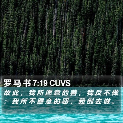 罗 马 书 7:19 CUVS Bible Verse Image