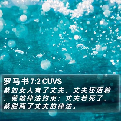 罗 马 书 7:2 CUVS Bible Verse Image