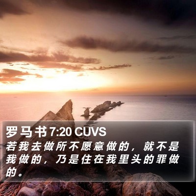 罗 马 书 7:20 CUVS Bible Verse Image