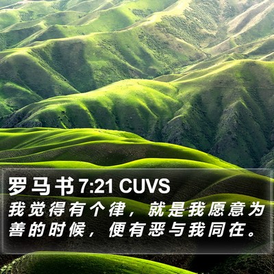 罗 马 书 7:21 CUVS Bible Verse Image