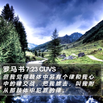 罗 马 书 7:23 CUVS Bible Verse Image
