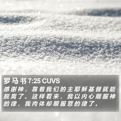 罗 马 书 7:25 CUVS Bible Verse Image