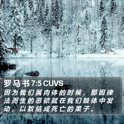 罗 马 书 7:5 CUVS Bible Verse Image