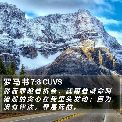 罗 马 书 7:8 CUVS Bible Verse Image