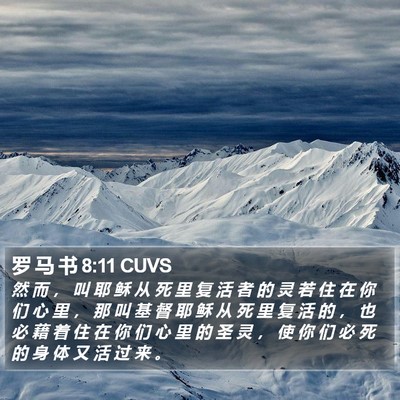 罗 马 书 8:11 CUVS Bible Verse Image