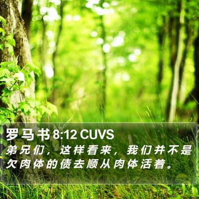 罗 马 书 8:12 CUVS Bible Verse Image