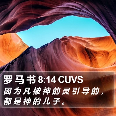 罗 马 书 8:14 CUVS Bible Verse Image