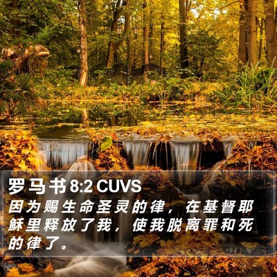 罗 马 书 8:2 CUVS Bible Verse Image