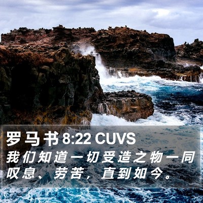 罗 马 书 8:22 CUVS Bible Verse Image