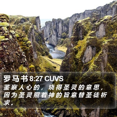罗 马 书 8:27 CUVS Bible Verse Image