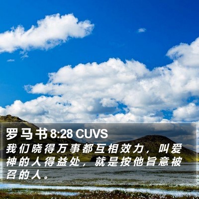 罗 马 书 8:28 CUVS Bible Verse Image