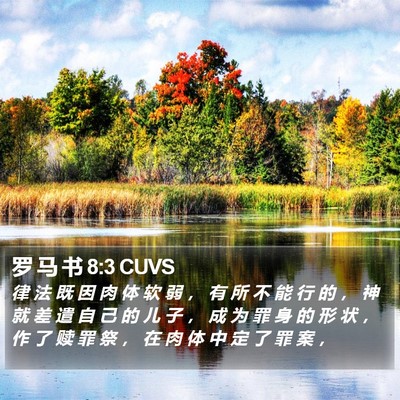 罗 马 书 8:3 CUVS Bible Verse Image