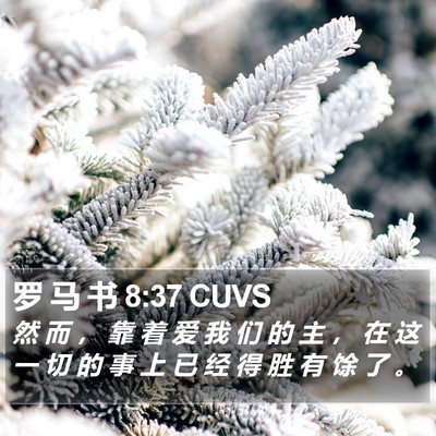 罗 马 书 8:37 CUVS Bible Verse Image
