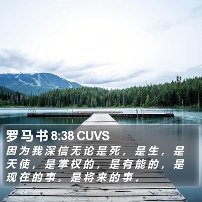 罗 马 书 8:38 CUVS Bible Verse Image