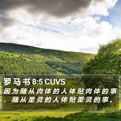 罗 马 书 8:5 CUVS Bible Verse Image