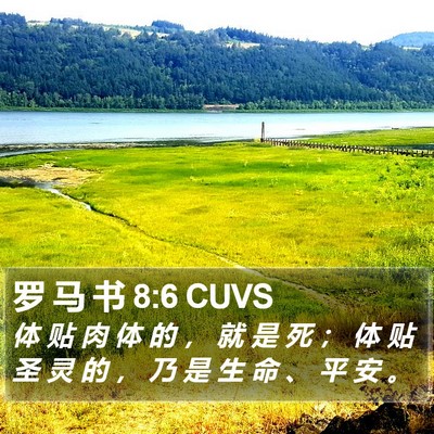 罗 马 书 8:6 CUVS Bible Verse Image