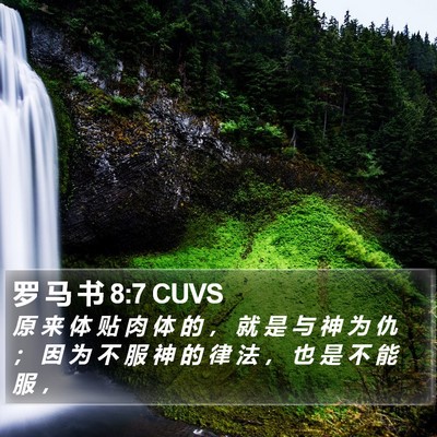 罗 马 书 8:7 CUVS Bible Verse Image