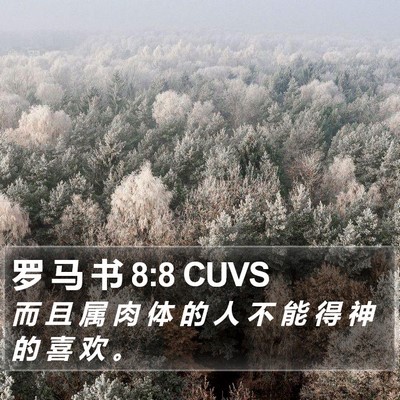 罗 马 书 8:8 CUVS Bible Verse Image
