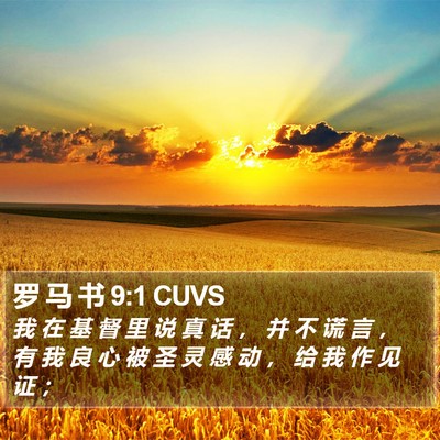 罗 马 书 9:1 CUVS Bible Verse Image