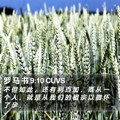 罗 马 书 9:10 CUVS Bible Verse Image