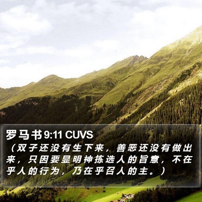 罗 马 书 9:11 CUVS Bible Verse Image