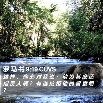 罗 马 书 9:19 CUVS Bible Verse Image