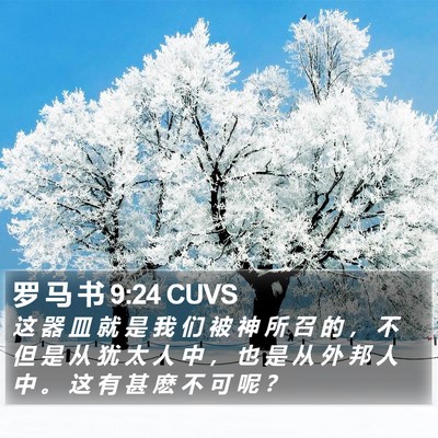 罗 马 书 9:24 CUVS Bible Verse Image