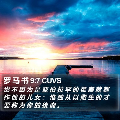 罗 马 书 9:7 CUVS Bible Verse Image