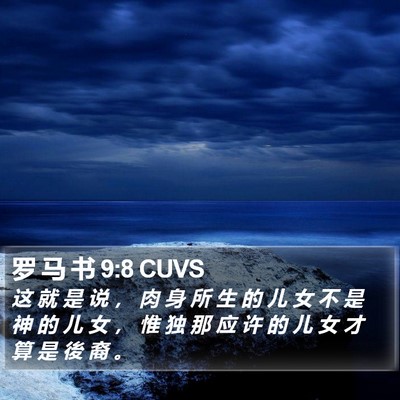 罗 马 书 9:8 CUVS Bible Verse Image