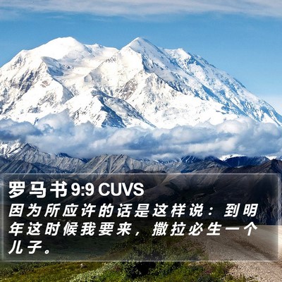 罗 马 书 9:9 CUVS Bible Verse Image