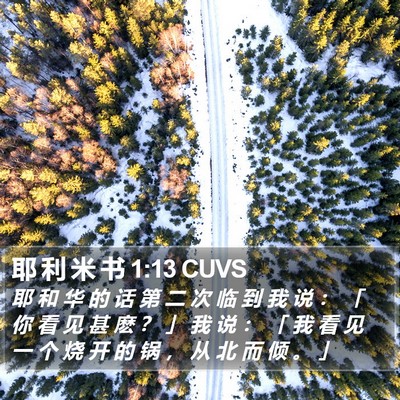 耶 利 米 书 1:13 CUVS Bible Verse Image