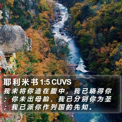 耶 利 米 书 1:5 CUVS Bible Verse Image