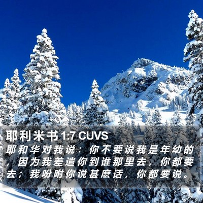耶 利 米 书 1:7 CUVS Bible Verse Image