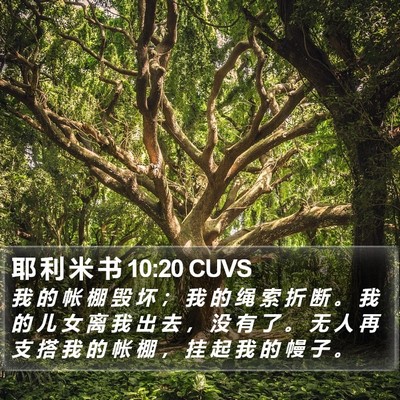 耶 利 米 书 10:20 CUVS Bible Verse Image